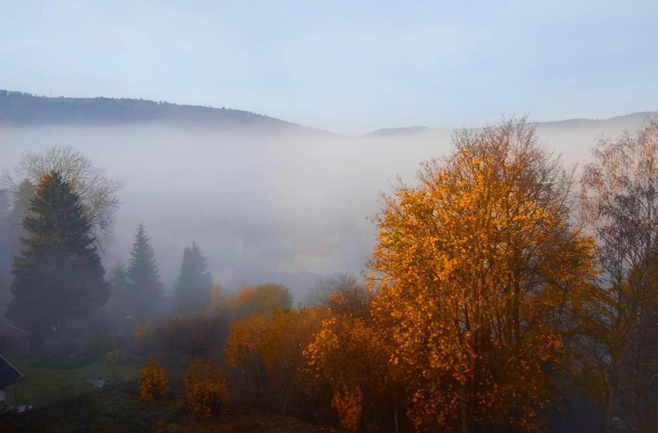 Parkvilla Koehler
